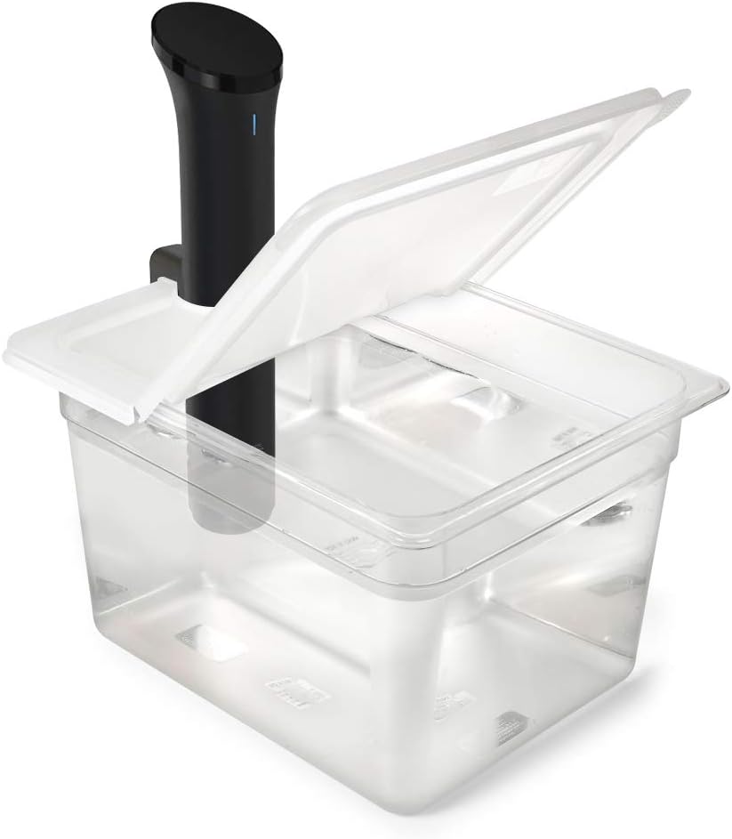 a sous vide basin with lid