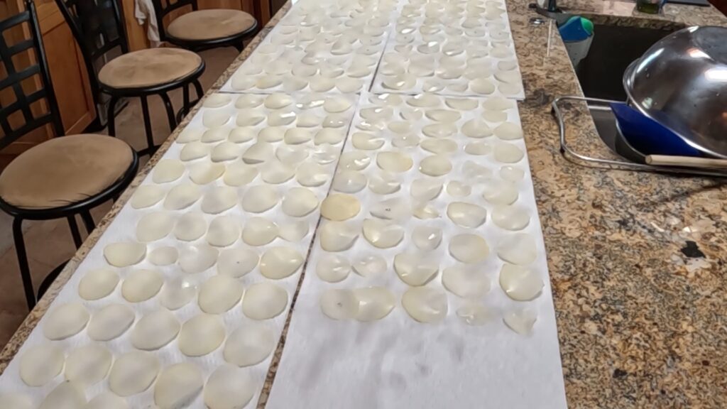 hundreds of potato slices drying on paper towels on a long countertop
