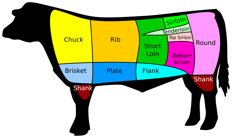 diagram of a cow showing the primal cuts of beef