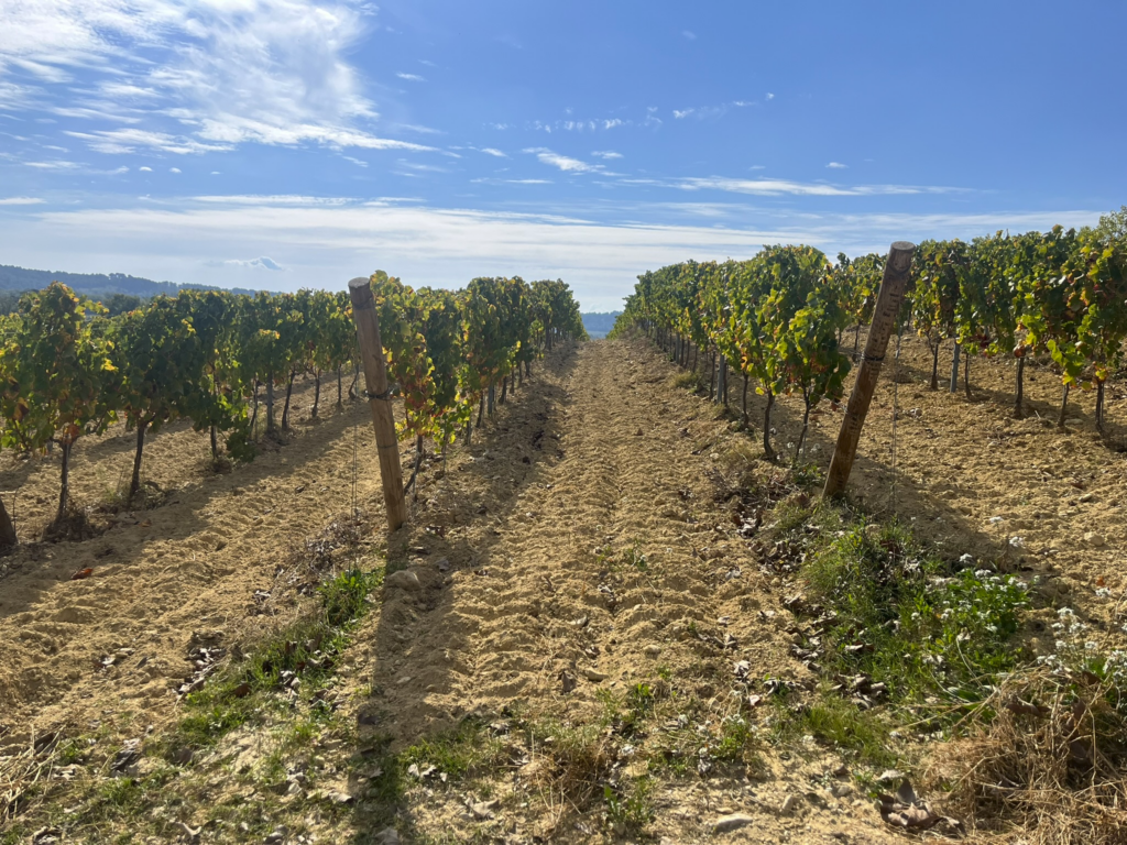 Chateau de Sannes Winery near L'Isle-sur-la-Sorgue, France