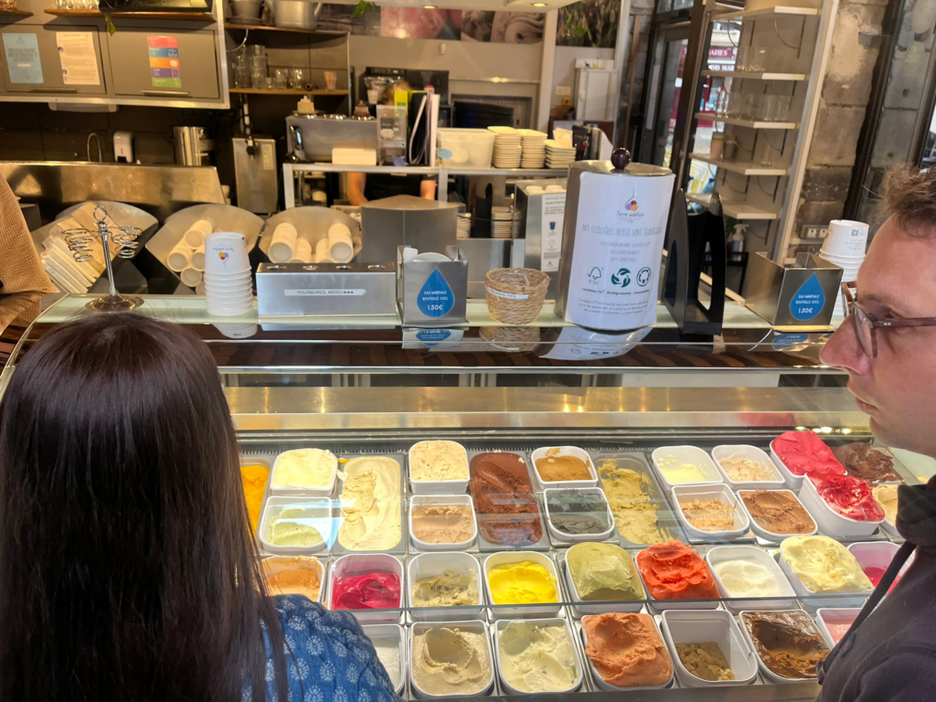 sorbet at Glacier Terre adélice sorbet shop Lyon France