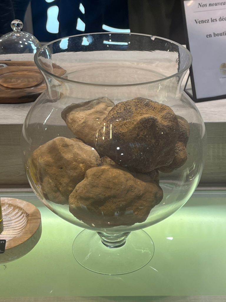Truffle display at Signorini Tartufi Lyon Saint-Jean lyon France