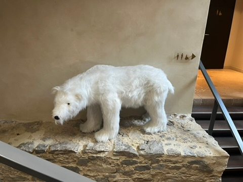Polar bear at Bulle - Restaurant de Fourvière Lyon France