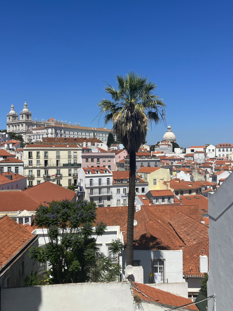 a scene of rooftops in Lisbon Portugal
