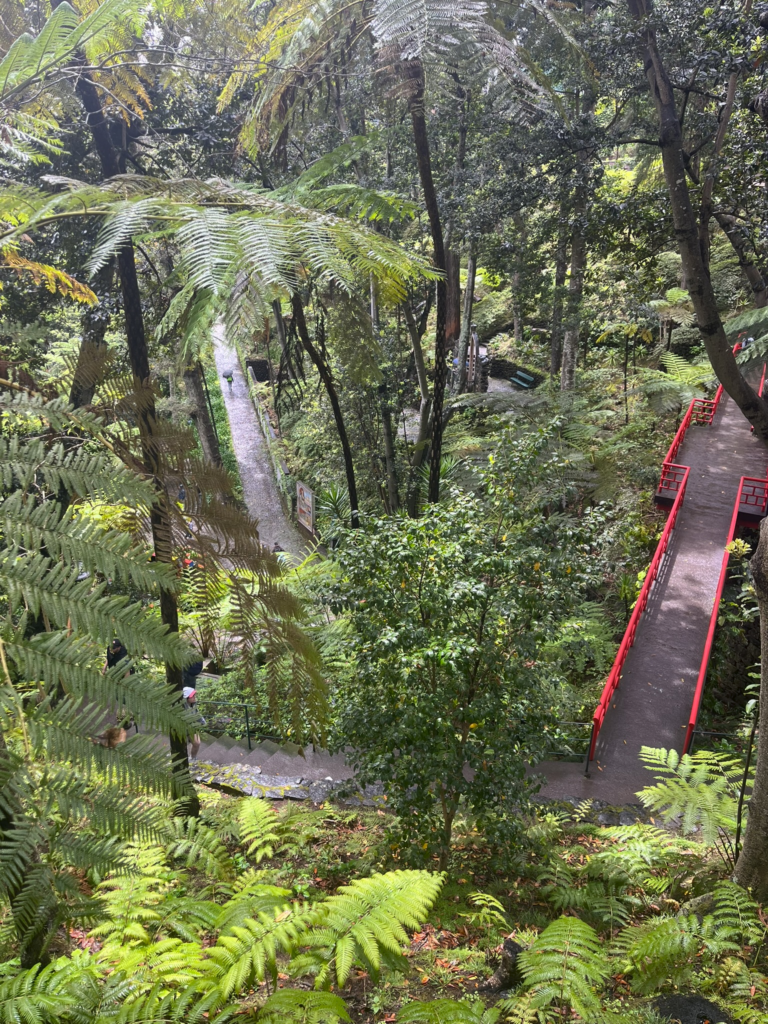 Jardim Monte Palace Tropical Garden Madeira