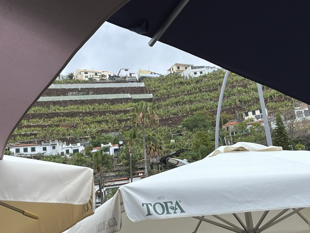 View from Espadeiro by Jose De Sousa in Câmara de Lobos, Madeira