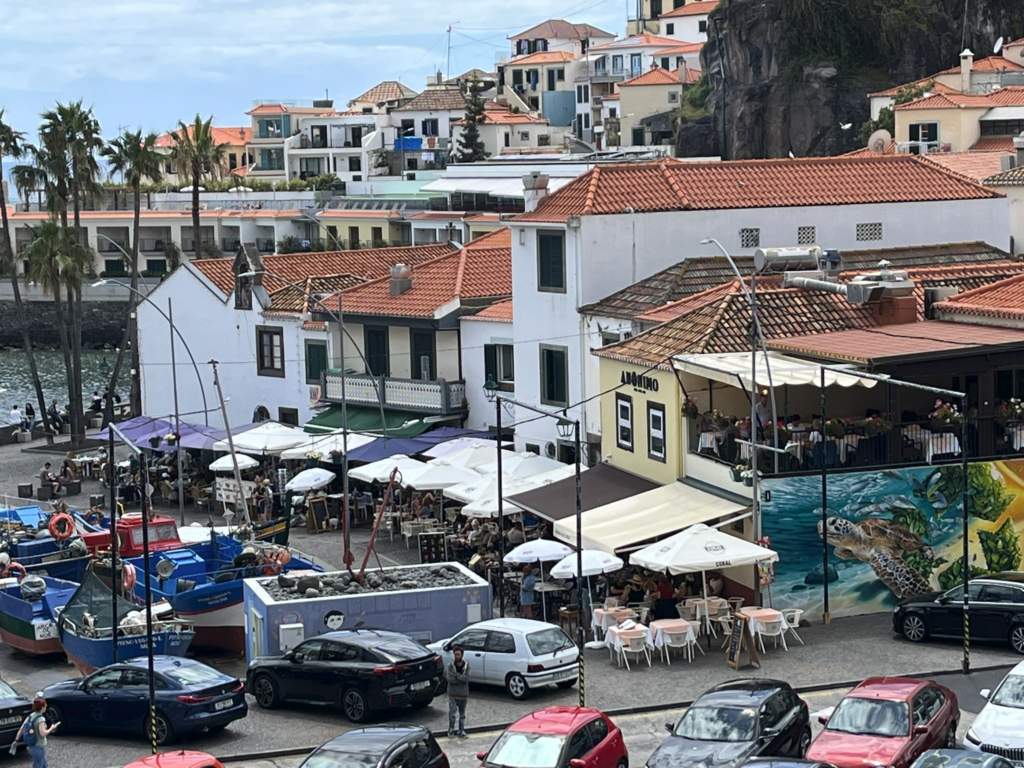 View of Espadeiro by Jose De Sousa in Câmara de Lobos, Madeira