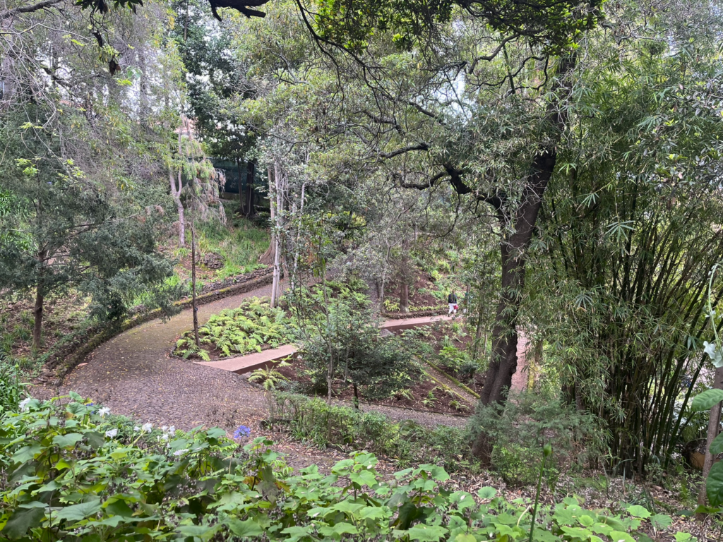  Botanical Garden Funchal, Madeira
